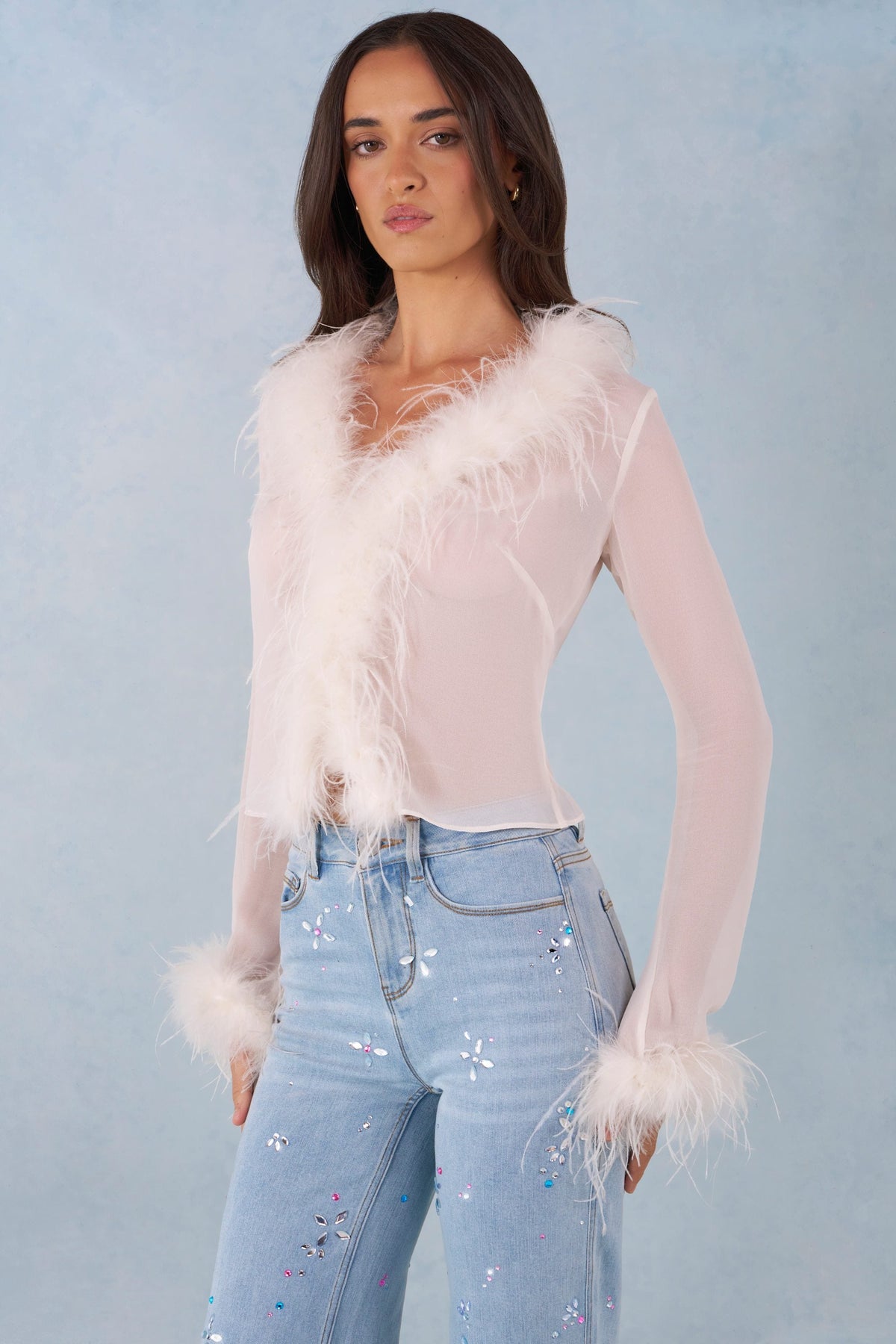 Chic Feather Trim Sheer Top in Ivory