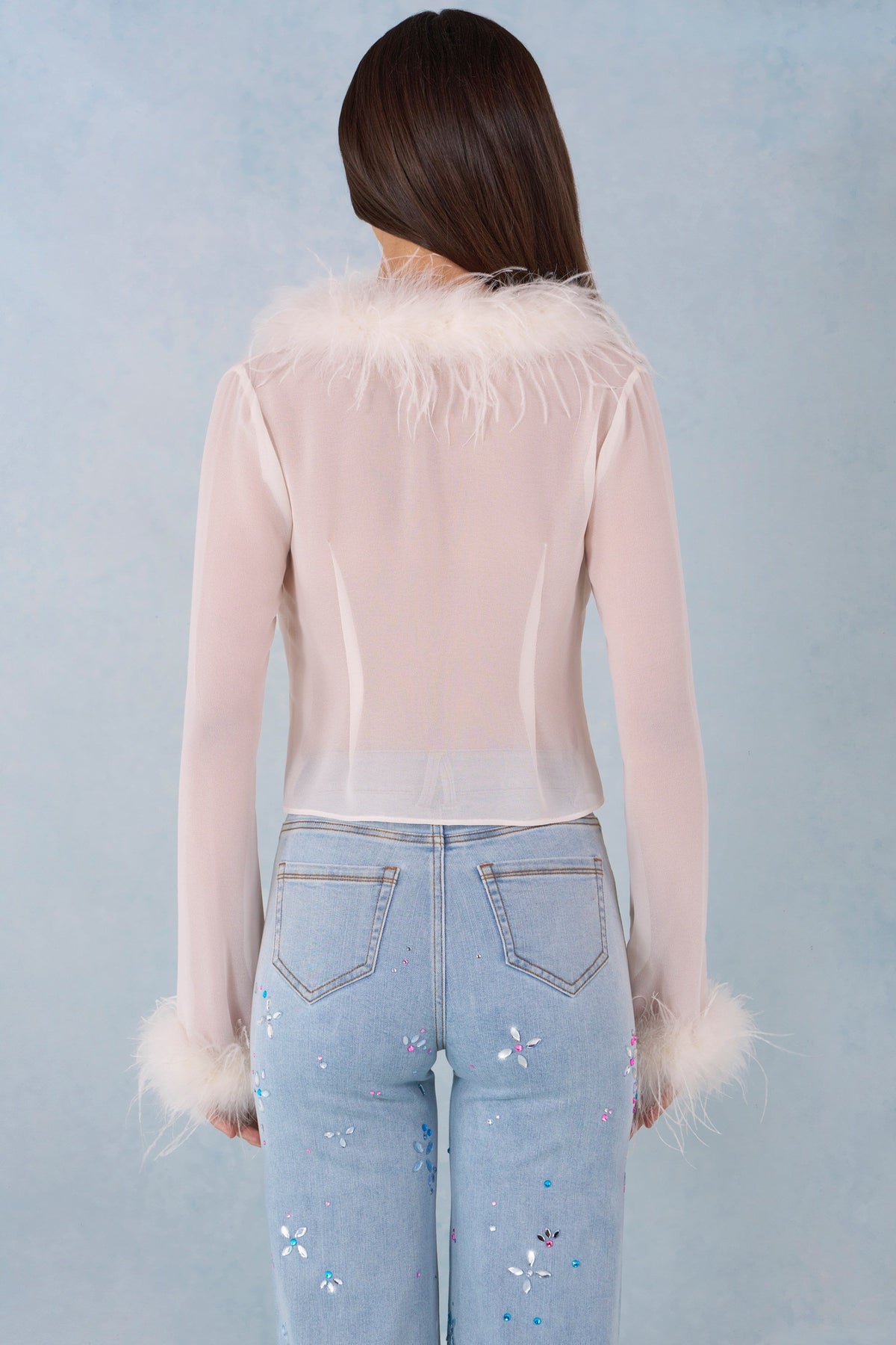 Chic Feather Trim Sheer Top in Ivory