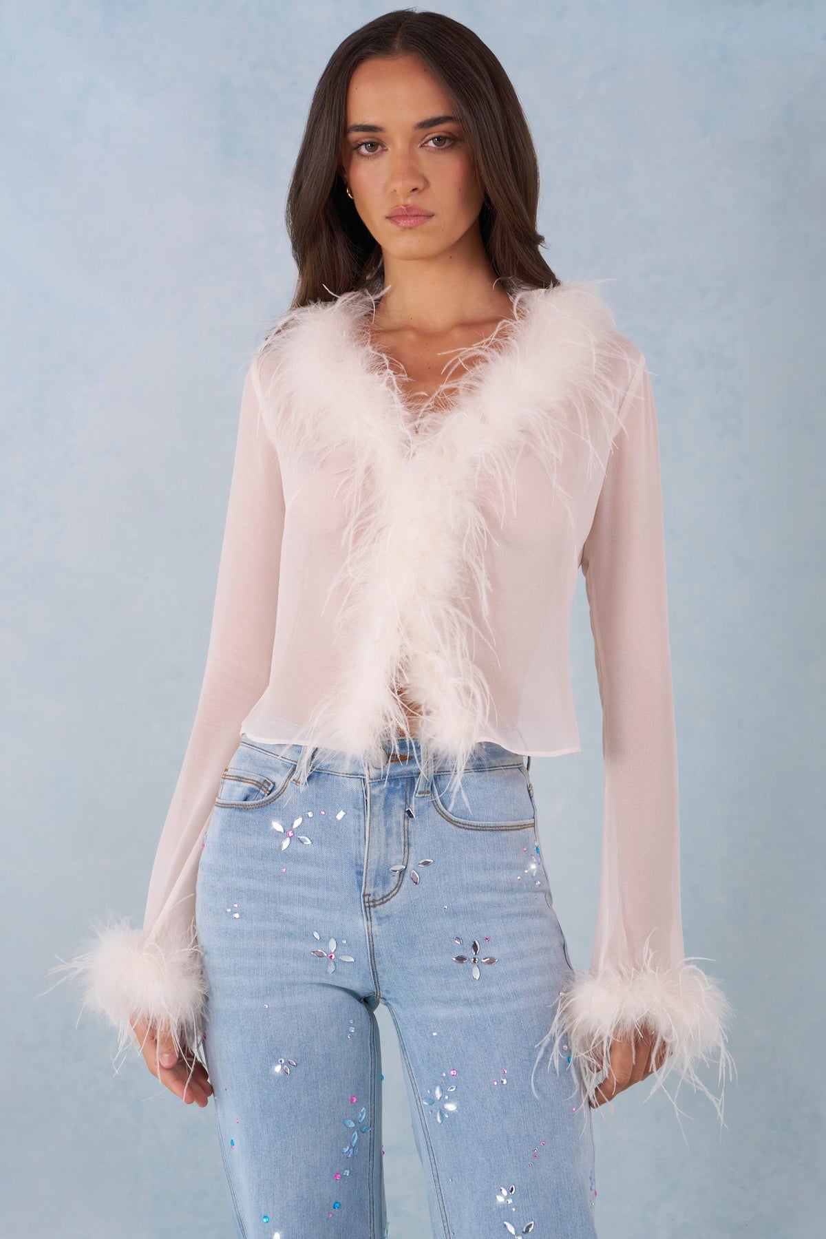 Chic Feather Trim Sheer Top in Ivory