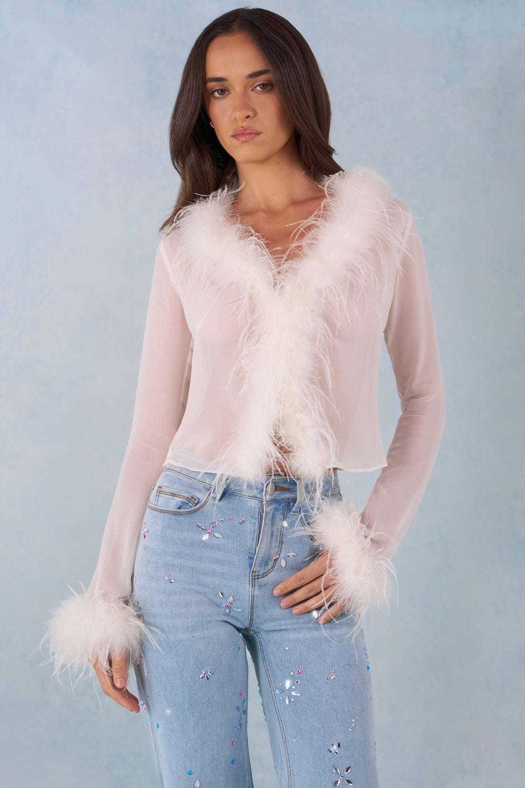 Chic Feather Trim Sheer Top in Ivory