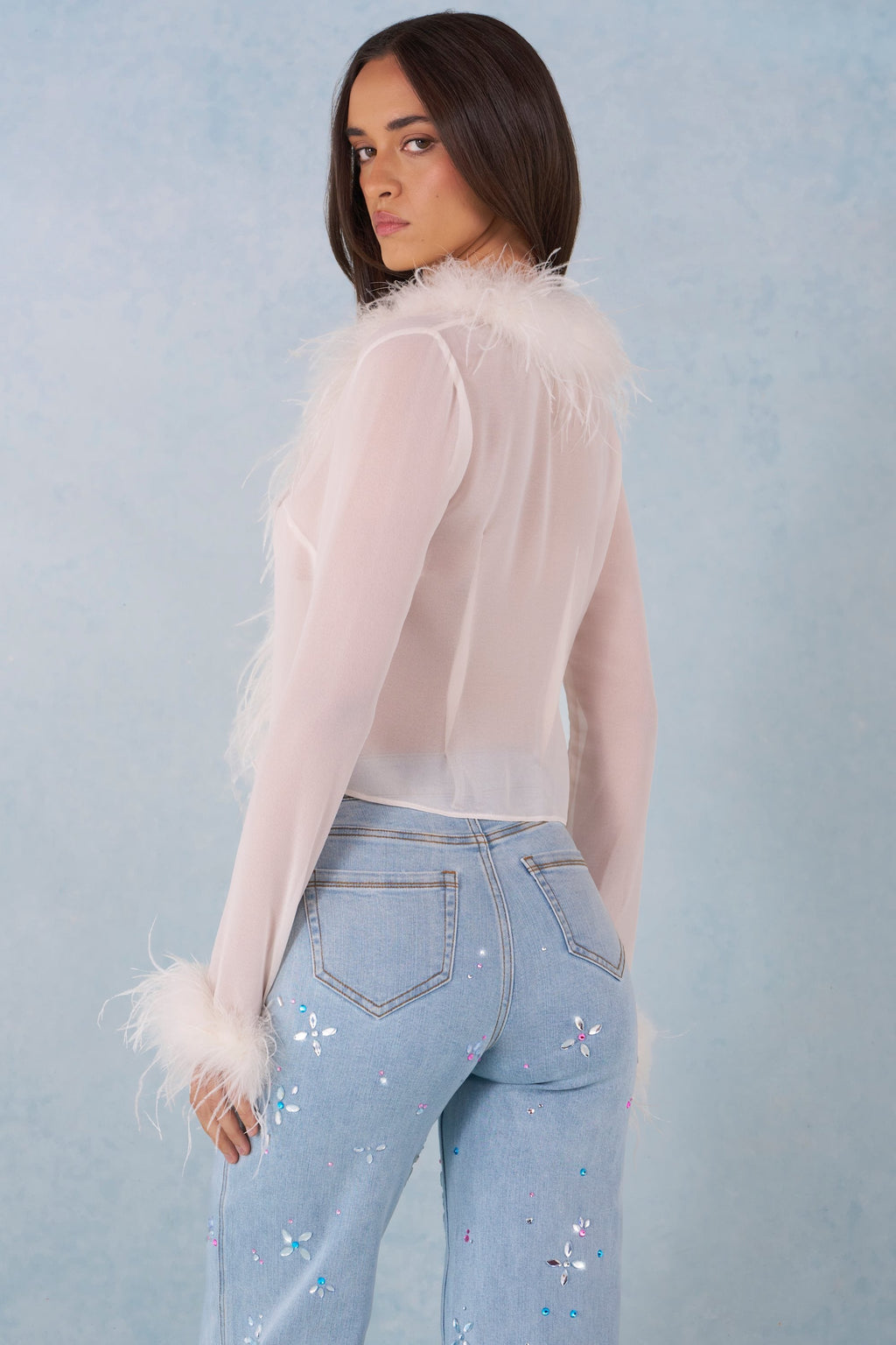Chic Feather Trim Sheer Top in Ivory