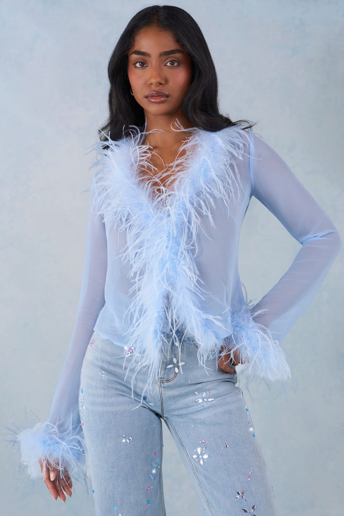 Chic Feather Trim Sheer Top in Soft Blue