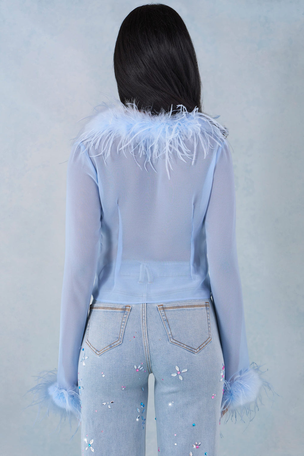 Chic Feather Trim Sheer Top in Soft Blue
