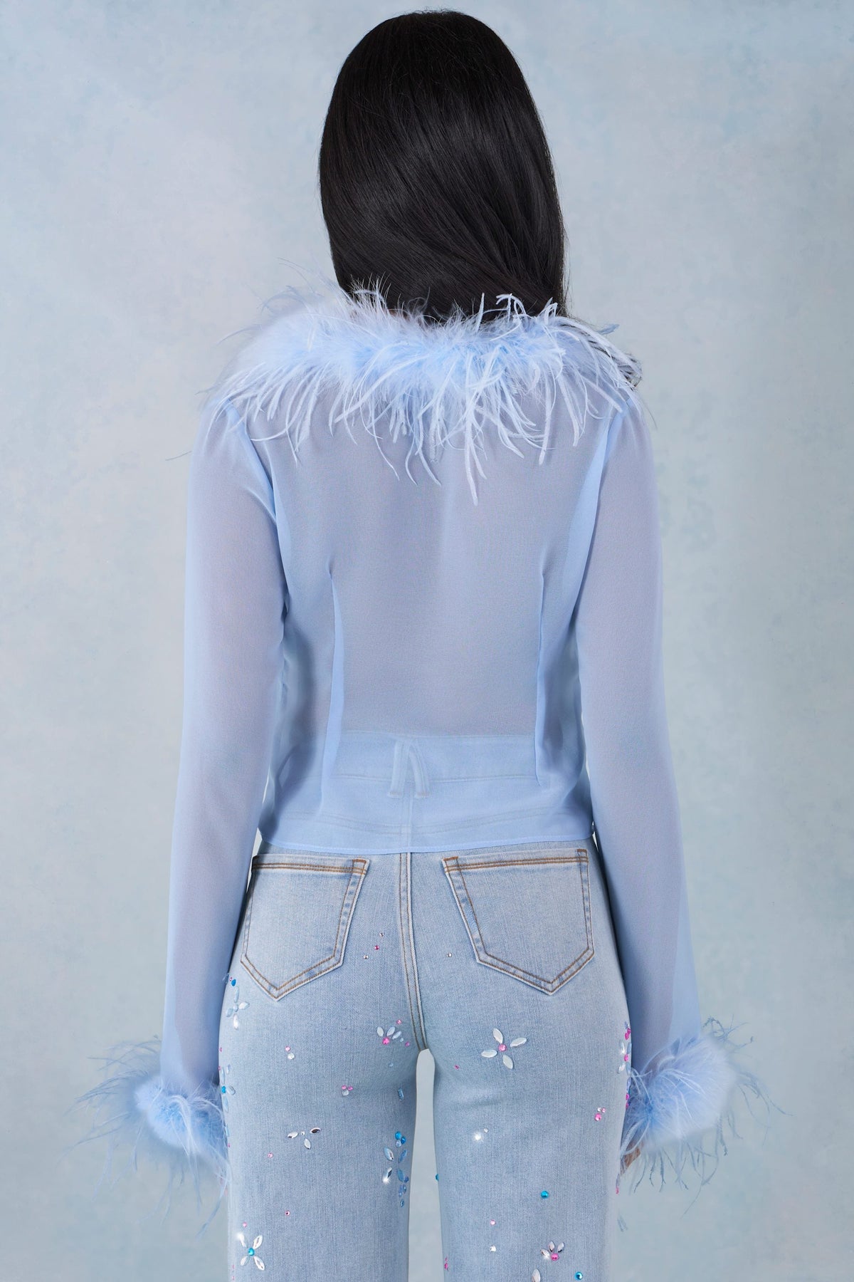 Chic Feather Trim Sheer Top in Soft Blue