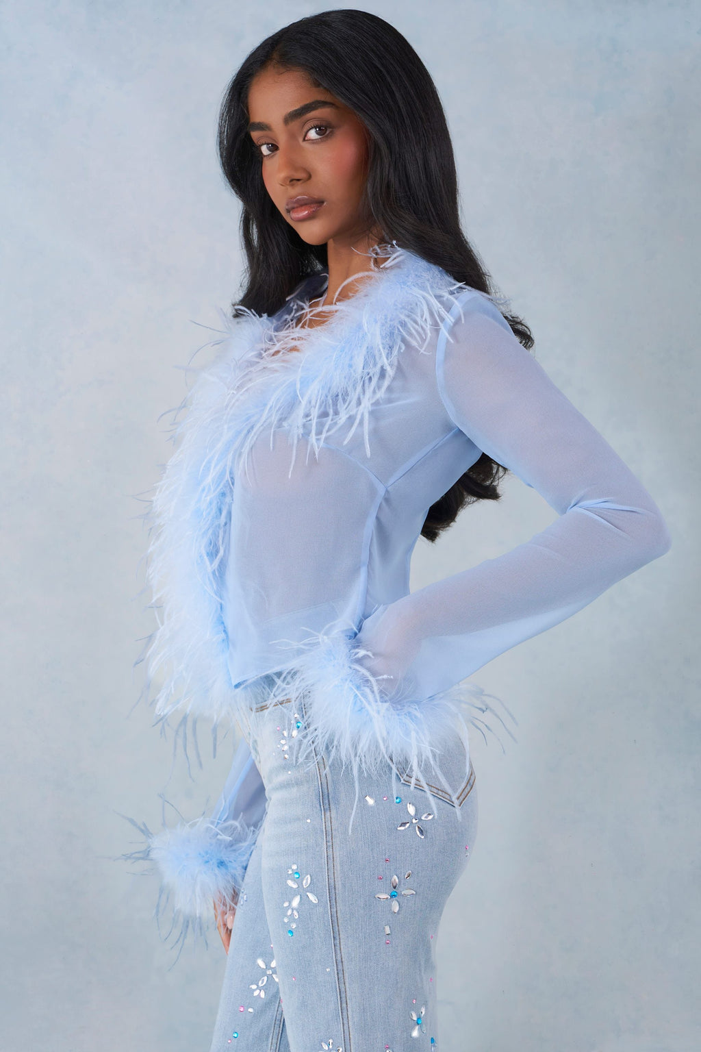 Chic Feather Trim Sheer Top in Soft Blue