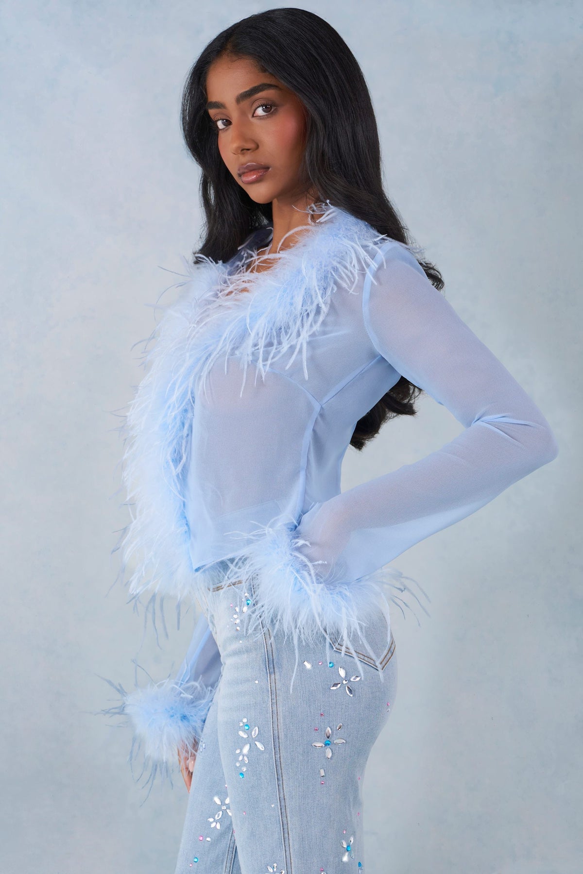 Chic Feather Trim Sheer Top in Soft Blue