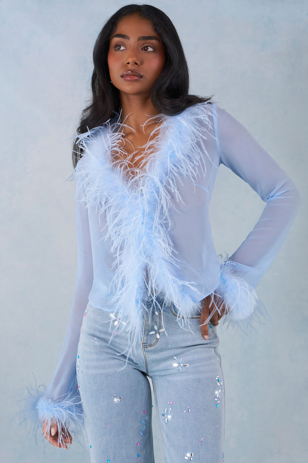 Chic Feather Trim Sheer Top in Soft Blue