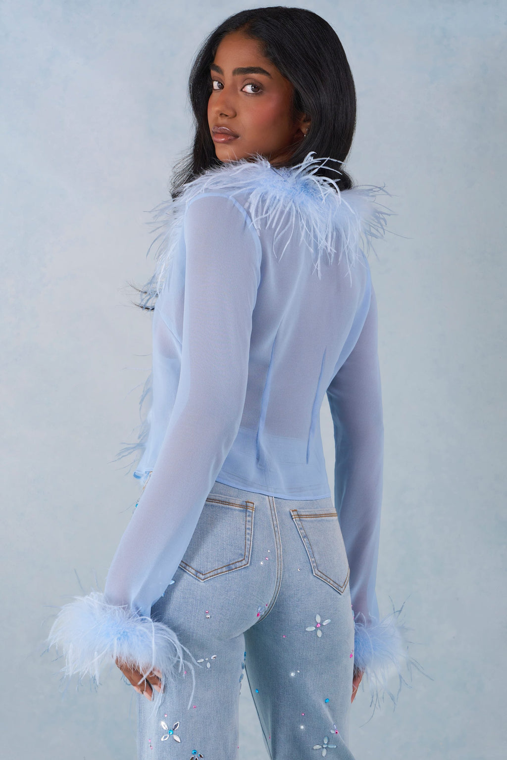 Chic Feather Trim Sheer Top in Soft Blue