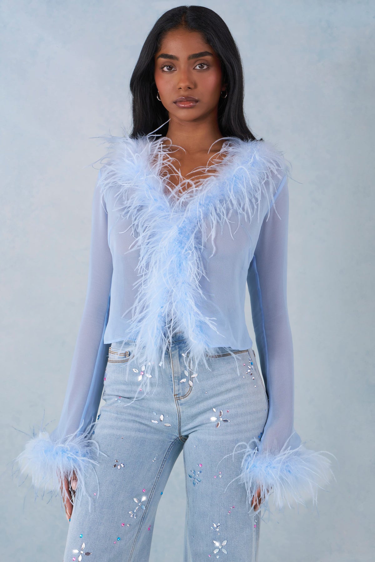 Chic Feather Trim Sheer Top in Soft Blue
