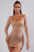 Chic Sheer Embellished Long Sleeve A-Line Mini Dress in Honey