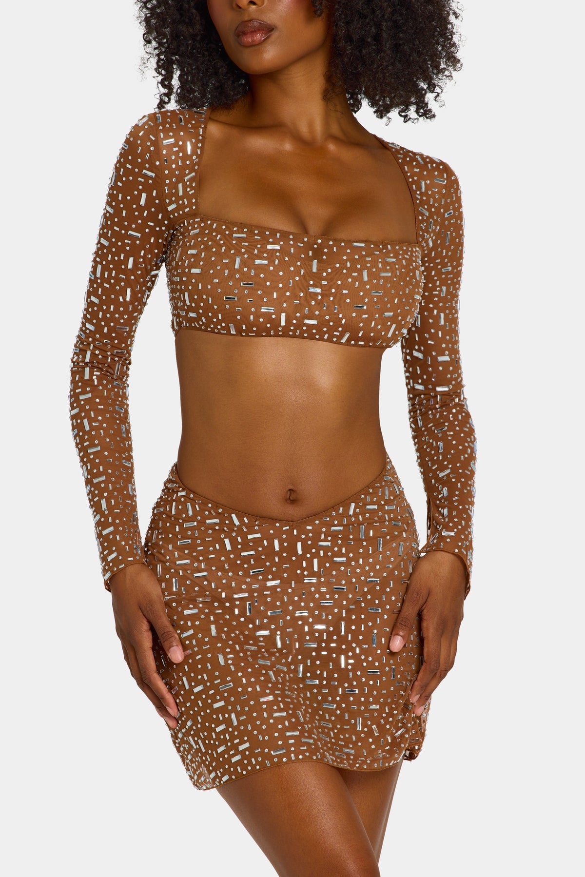 Chic Sheer Embellished Long Sleeve Crop Top in Mocha